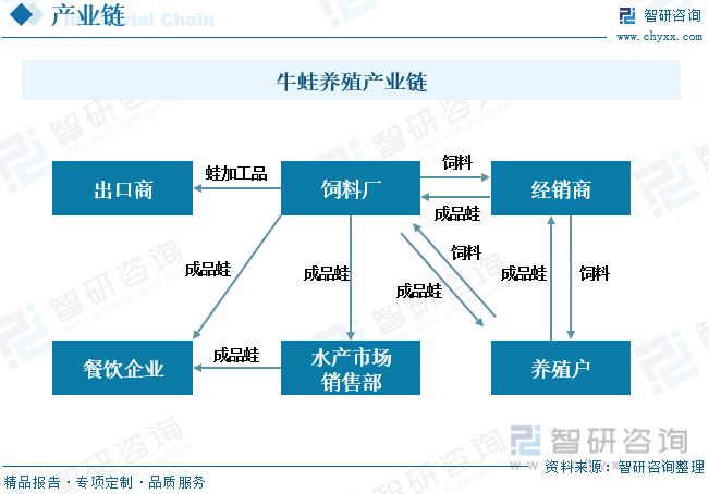 牛蛙养殖发展动态分析：品牌九游会平台 九游会企业形成养殖、加工、销售全链模式(图2)