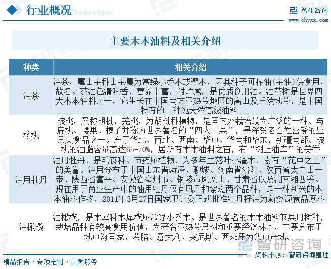 J9九游会干货分享！2023年中国油茶行业市场发展概况及未来投资前景预测分析(图2)