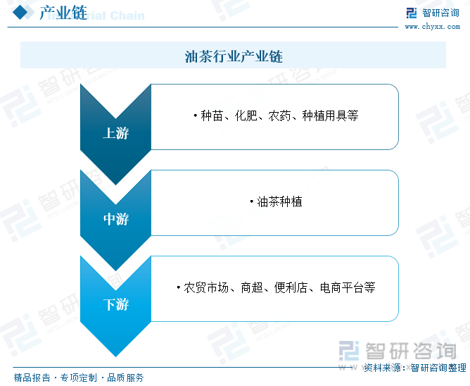 J9九游会干货分享！2023年中国油茶行业市场发展概况及未来投资前景预测分析(图4)